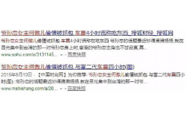 定安为什么选择专业追讨公司来处理您的债务纠纷？